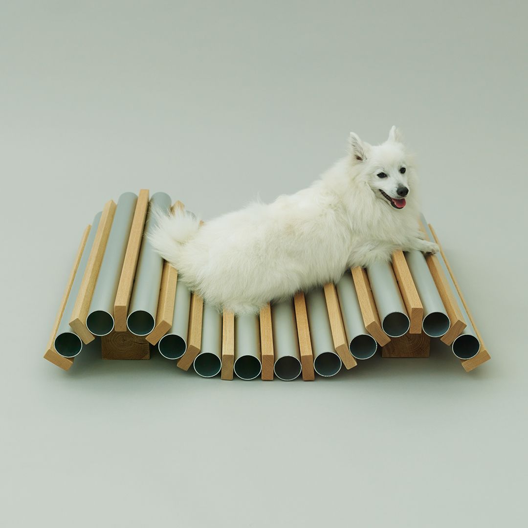 Dog kennel