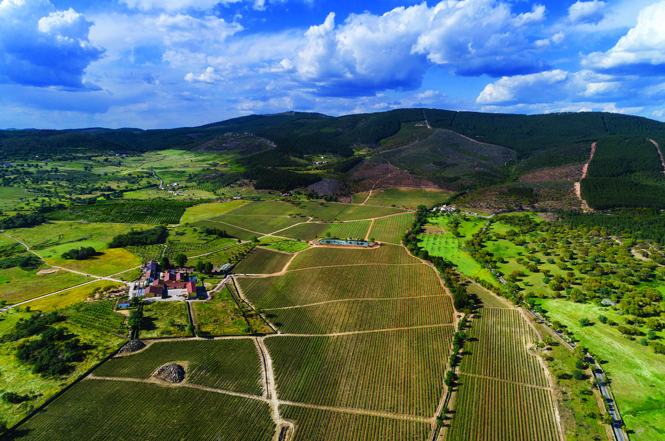 SFE_Quinta-do-Fonte-Souto-Vineyard.png