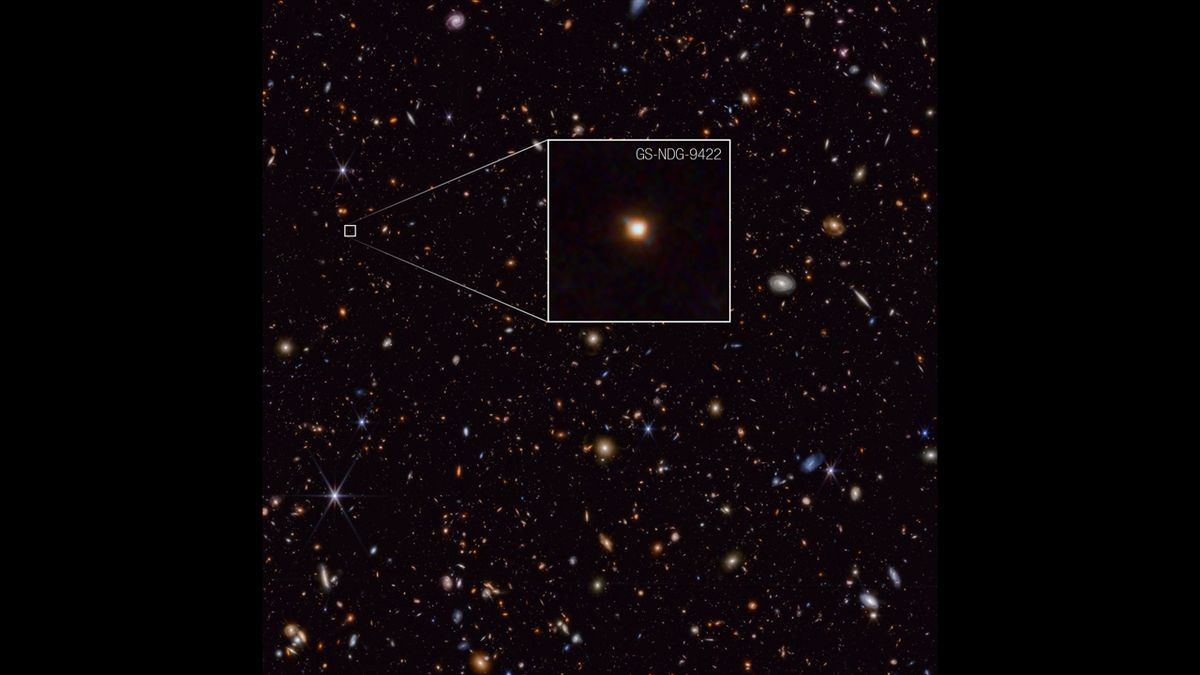 ‘That is bizarre’: James Webb Area Telescope spies a odd galaxy outshining its stars