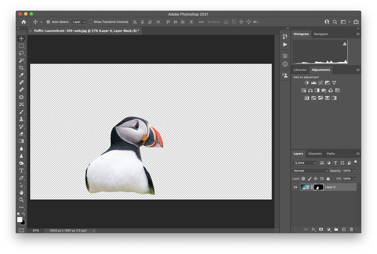 How to remove background in Digital Camera World