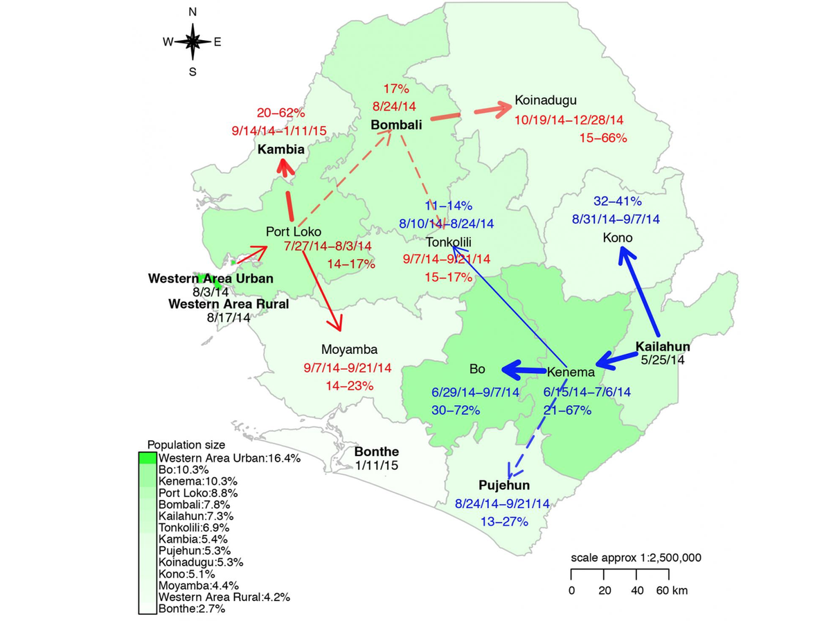 This map shows Ebola transmission across Sierra Leone.