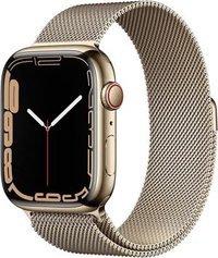 Apple Watch Series 7 GPS + Cellular och 45 mm rostfri stålboett guld: