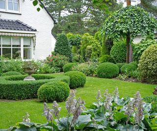 topiary in formal garden design