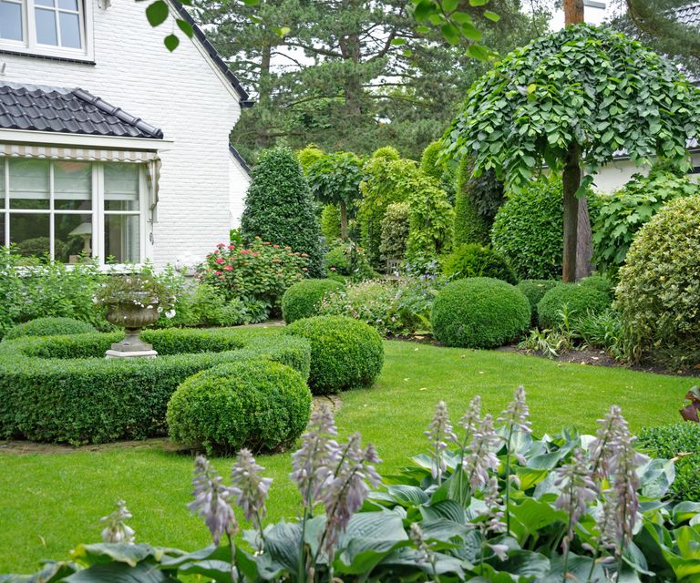 Outdated front yard trends: expert advice on how to replace them