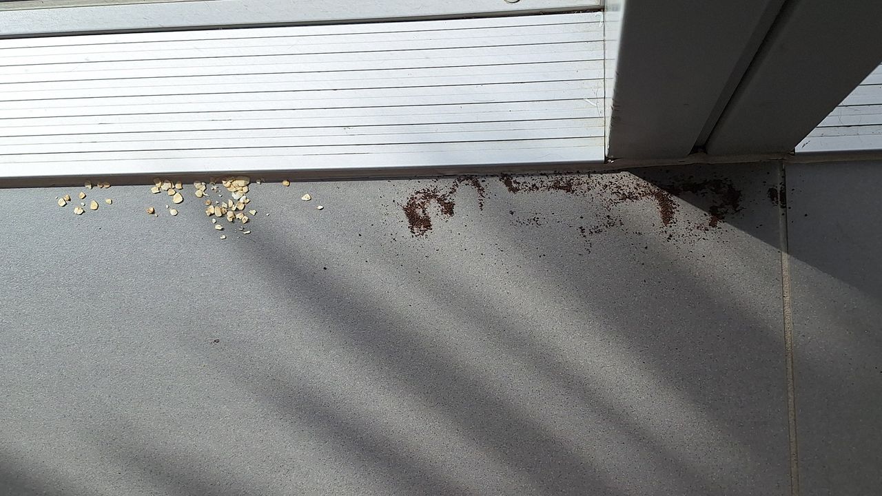 Oats and tea on the edge of a tiled floor