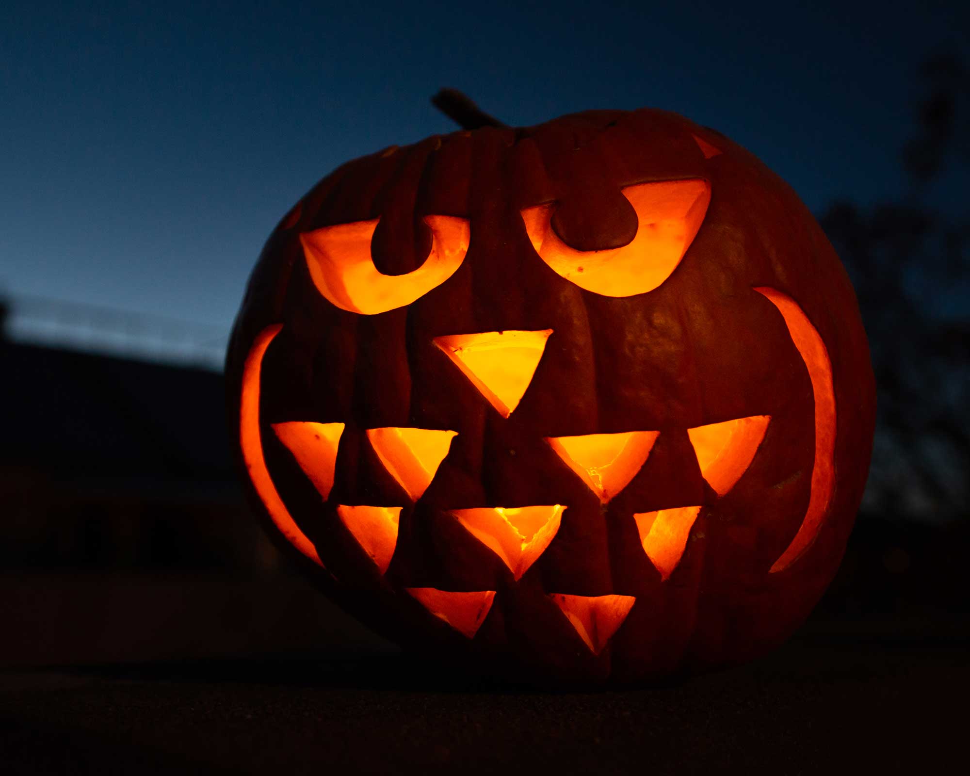 pumpkin carved as owl for Halloween