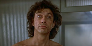 jeff goldblum the fly