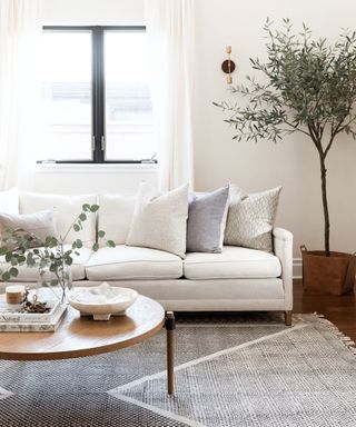 Rustic living room ideas with white walls