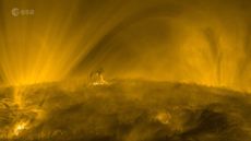 A golden landscape of the sun's surface, featuring looping towers of plasma
