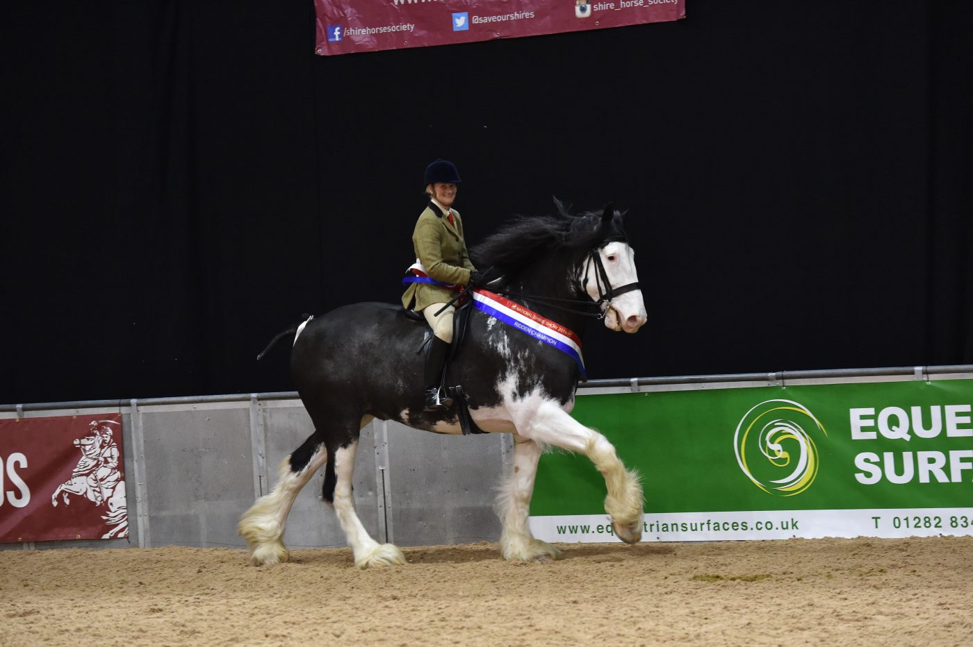 Gautby-Arclid-Flashman-23-ridden-horse-champion-and-hOYS-ridden-winner-e1560347668817.jpg