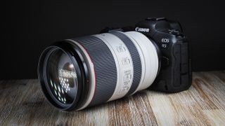 Canon RF 70-200mm f/2.8L IS USM, one of the best Canon RF lenses