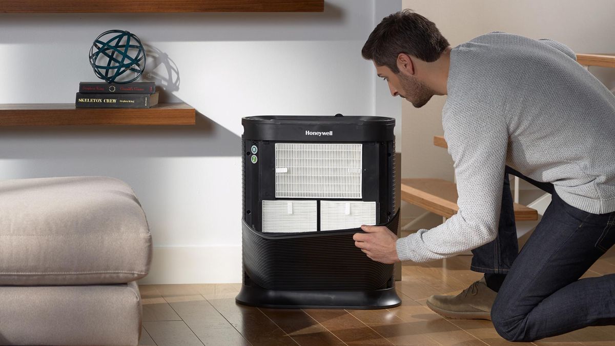 5 Reasons You Need an Air Purifier Tom's Guide