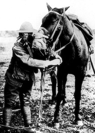 An American soldier demonstrates gas masks for a man and a horse during World War I, around 1917 to 1918.