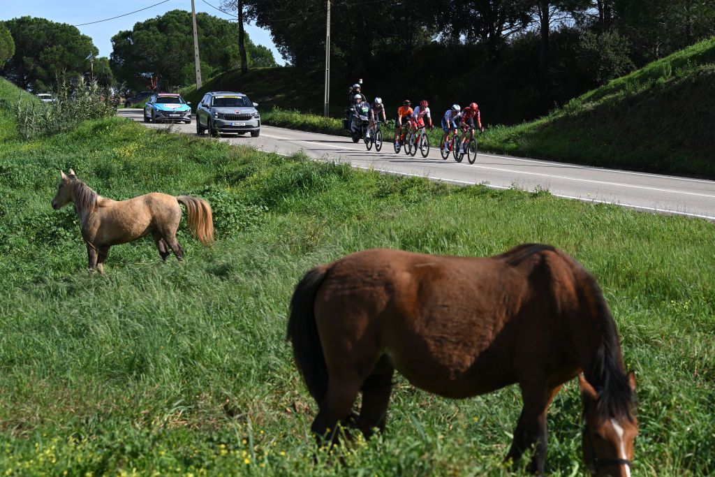 ALTO DA FOIA PORTUGAL FEBRUARY 20 Tobias Bayer of Austria and Team Alpecin Deceuninck Brent Van Moer of Belgium and Team Lotto Andre Carvalho of Portugal and Team Efapel Cycling Hugo Nunes of Portugal and Team Credibom LA Alumnios Marcos Car and German Nicolas Tivani of Argentina and Team Aviludo Louletano Loul compete in the breakaway during the 51st Volta ao Algarve em Bicicleta Stage 2 a 1776km stage from Lagoa to Alto da Foia 869m on February 20 2025 in Alto da Foia Portugal Photo by Tim de WaeleGetty Images
