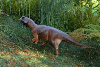 psittacosaurus