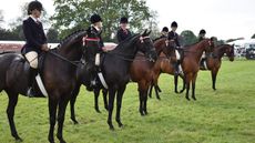 SHOWING LINE-UP STOCK