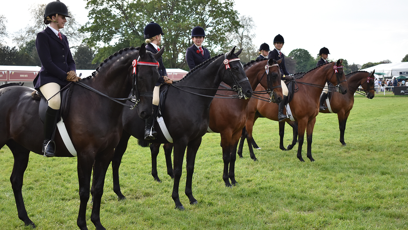 SHOWING LINE-UP STOCK