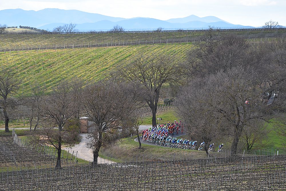 Riding through the vineyards