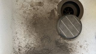 a vacuum filter in a sink surrounded by dust
