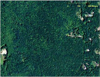 Here, an aerial photograph of the area from 2012 shows the farmstead has been completely abandoned and overgrown by forest. Check out the next slide showing the LiDAR image taken of this overgrown forest.