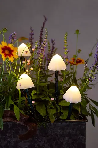 Stargazer Nature Effects Solar Mushroom Lights