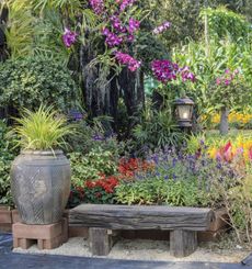 Colorful Flowered Garden With Wooden Bench