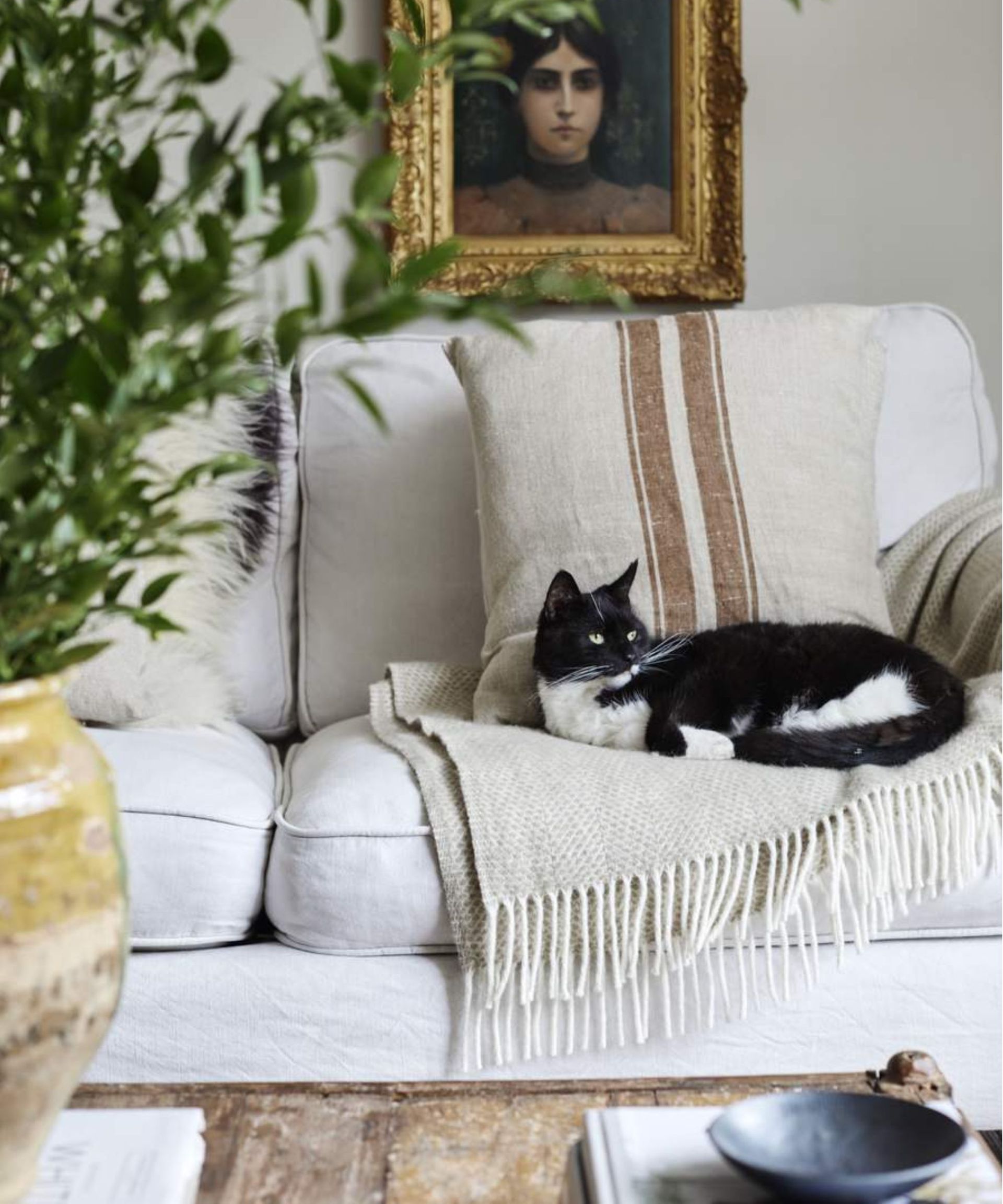 A tuxedo cat sat on a throw on a cream couch with a gold framed painting on the wall above