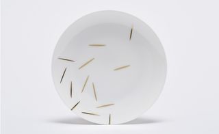 A white plate with 13 decorative lines in gold and black.