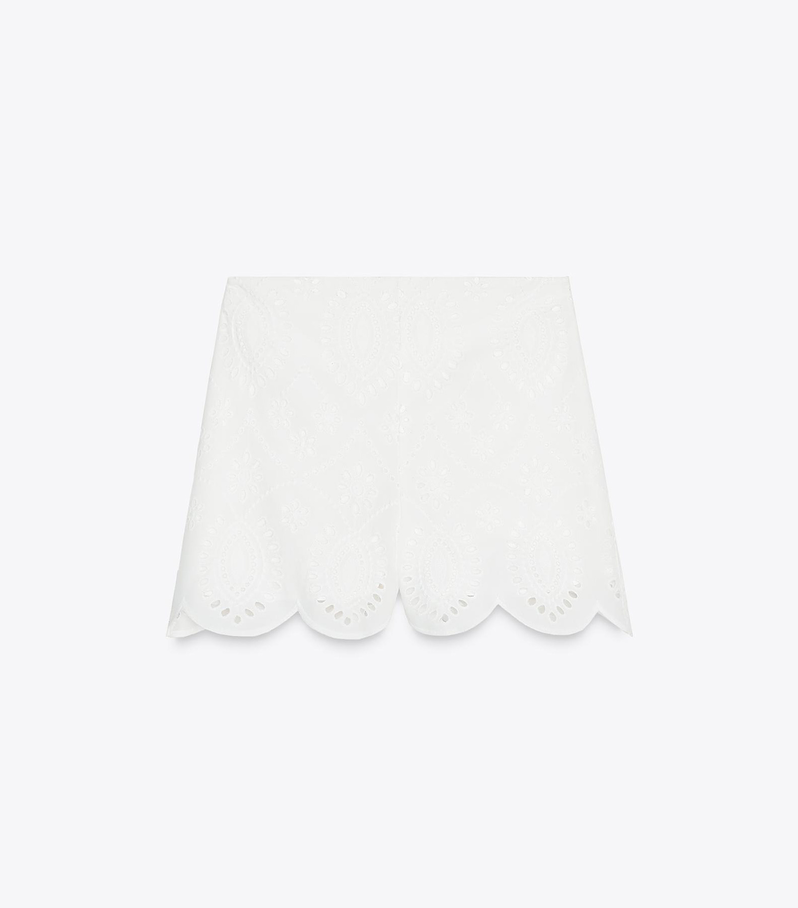 Perforated Embroidery Shorts