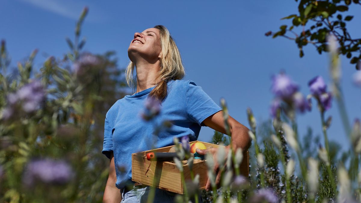 Gardening twice a week helps relieve stress, new study shows