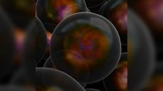 Dark matter is as mysterious as it is ubiquitous. 