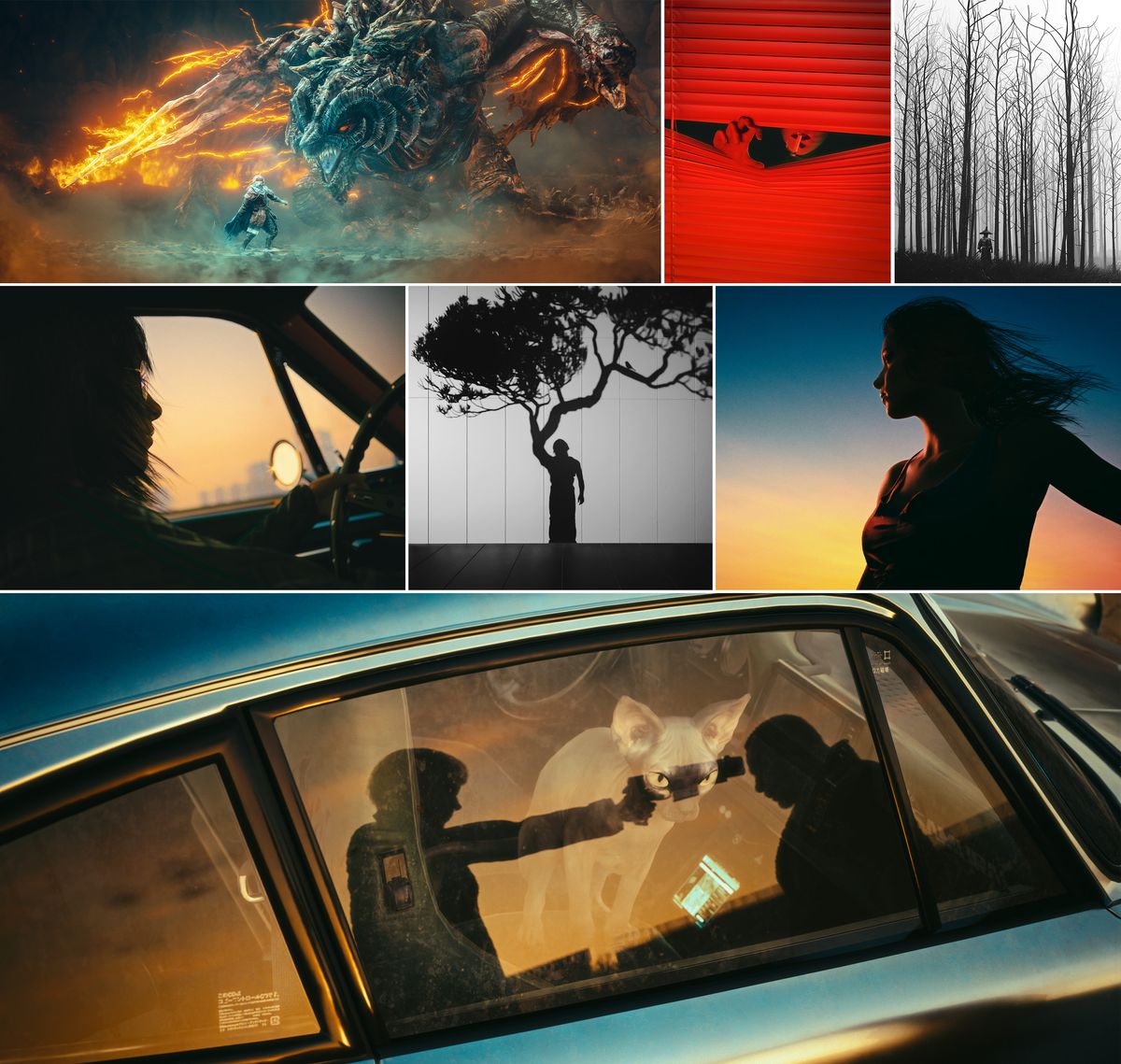 Virtual Photography Awards 2025