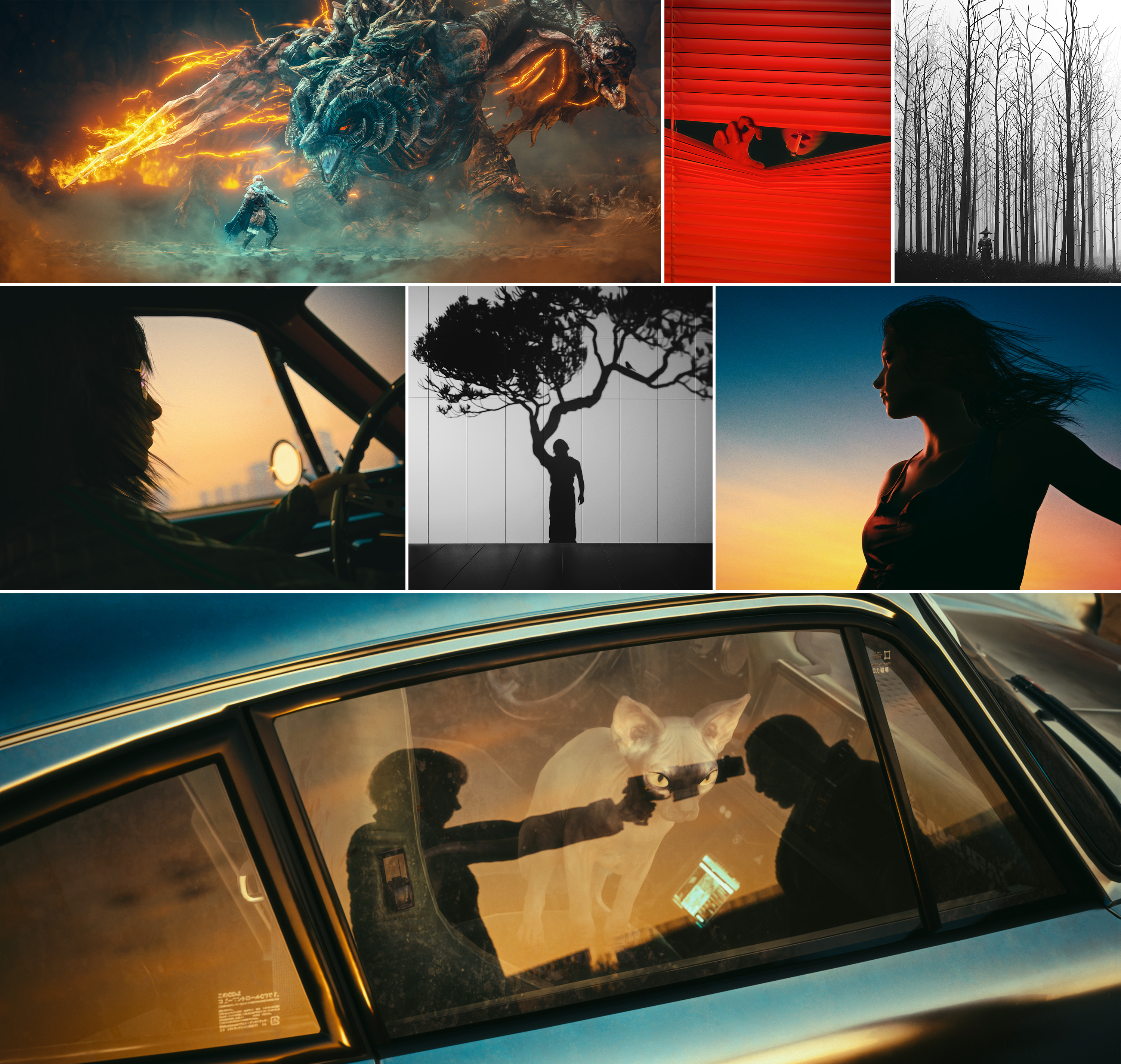 Virtual Photography Awards 2025