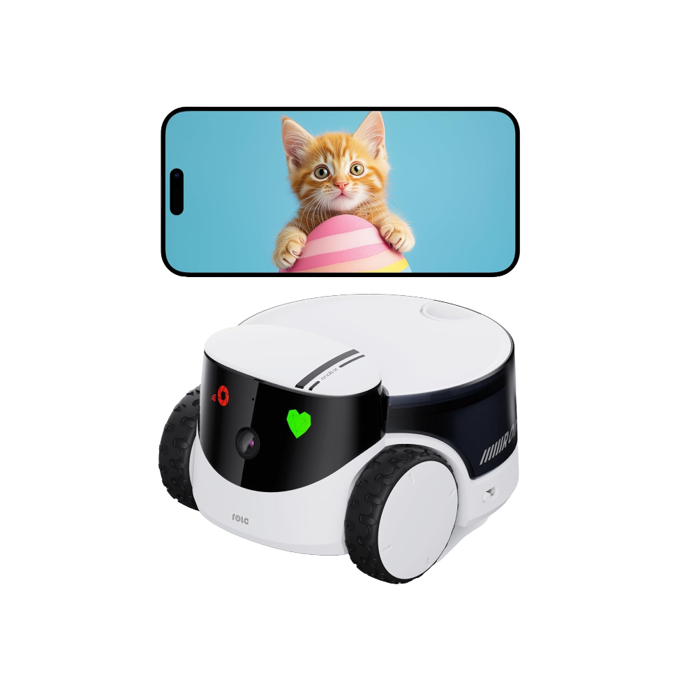 Enabot ROLA PetPal, one of the best pet cameras, and a phone screen displaying a photo of a ginger cat