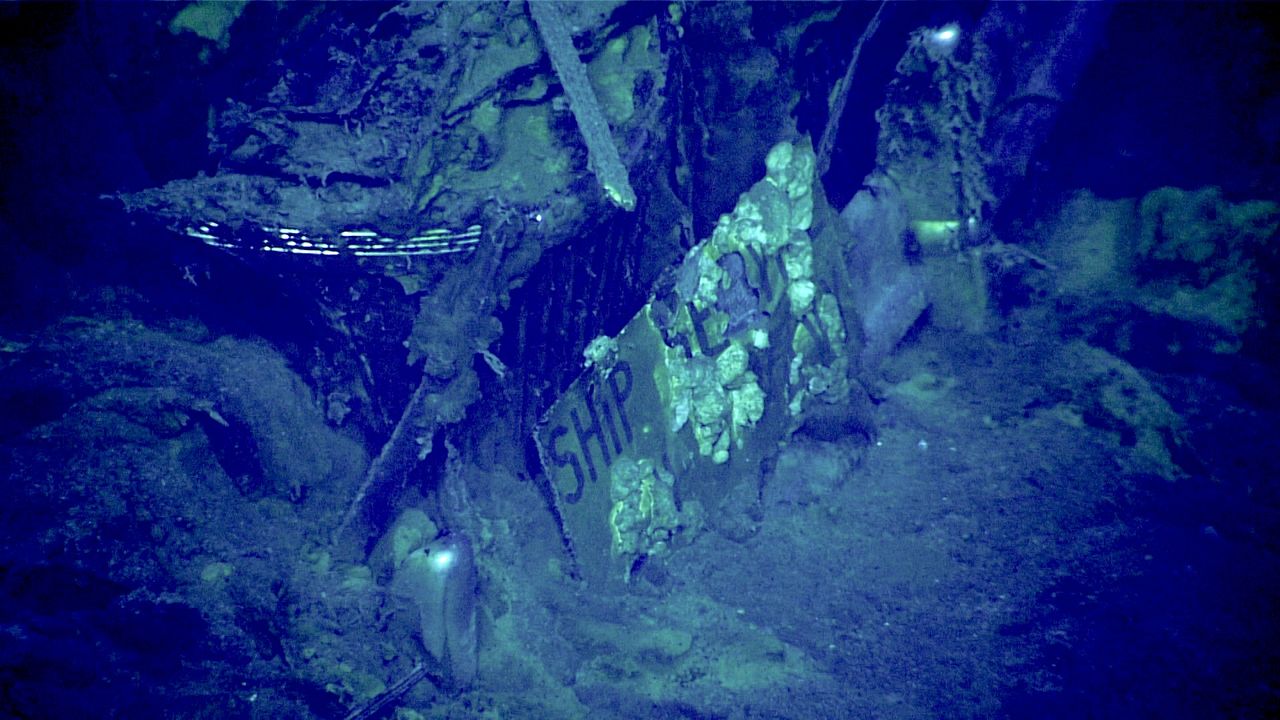 a close-up of a license plate of an old car underwater