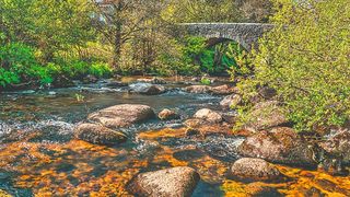 The River Dart