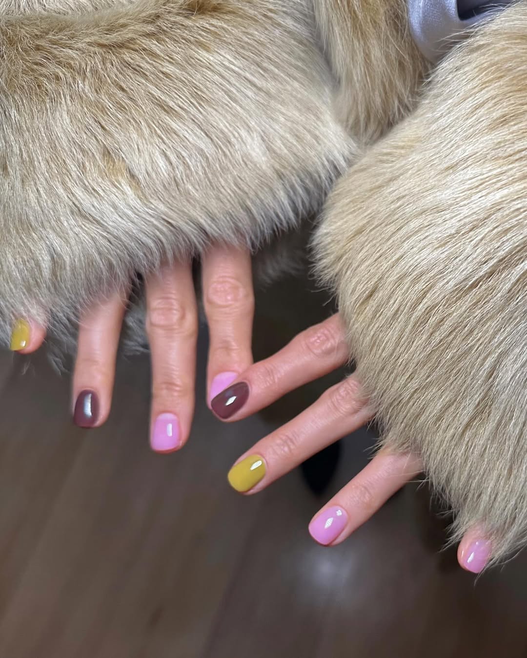 Olive green, pink, and brown nails.