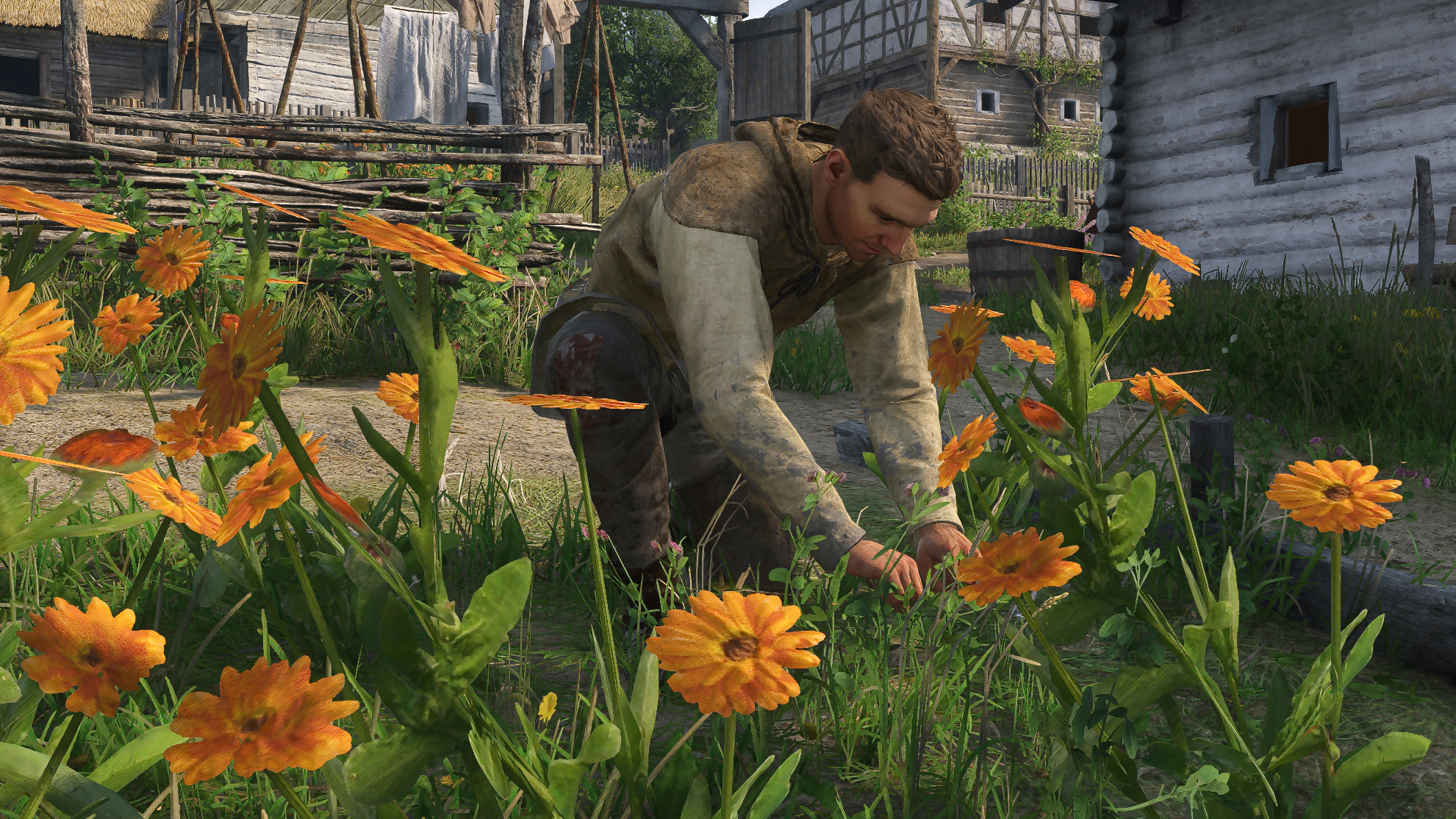 Henry picking flowers