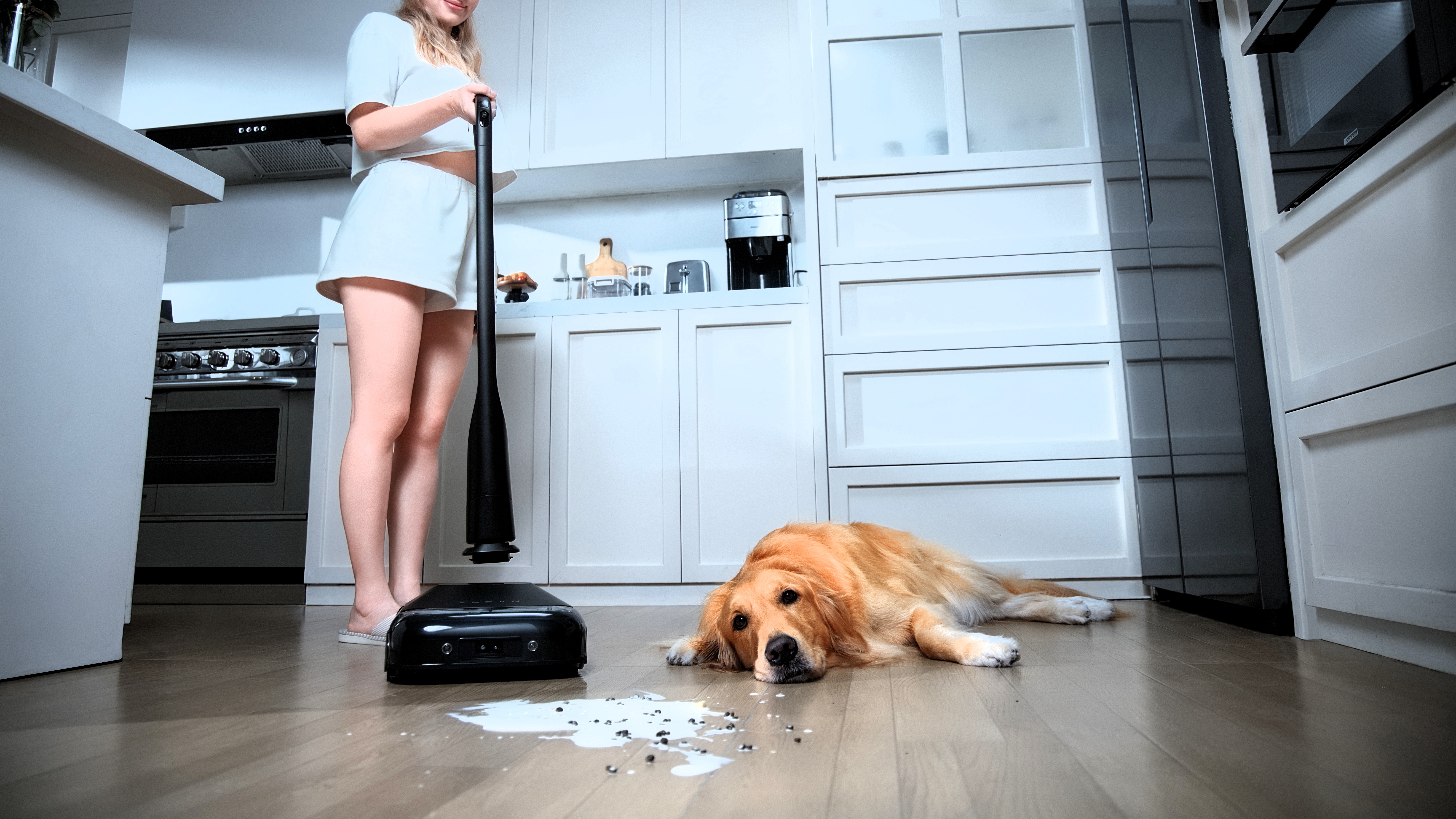 xLean TR1 being used as a convertable vacuum to clean pet mess