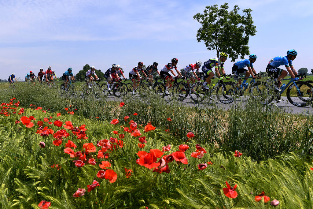 STRADELLA ITALY MAY 27 Andrea Vendrame of Italy and AG2R Citren Team Gianni Vermeersch of Belgium and Team AlpecinFenix Simon Pellaud of Switzerland Andrii Ponomar of Ukraine and Team Androni Giocattoli Sidermec Natnael Tesfatsion Ocbit of Eritrea and Team Androni Giocattoli Sidermec Samuele Battistella of Italy Gorka Izagirre Insausti of Spain and Team Astana Premier Tech Filippo Zana of Italy and Bardiani CSF Faizan Pro Team Simone Consonni of Italy and Team Cofidis Remi Cavagna of France and Team Deceuninck QuickStep Alberto Bettiol of Italy and Team EF Education Nippo Francesco Gavazzi of Italy Samuele Rivi of Italy and EOLOKOMETA Cycling Team Wesley Kreder of Netherlands and Team Intermarch Wanty Gobert Matriaux Patrick Bevin of New Zealand and Team Israel StartUp Nation Stefano Oldani of Italy and Team Lotto Soudal Dario Cataldo of Italy and Movistar Team Nikias Arndt of Germany Nico Denz of Germany Nicholas Roche of Ireland and Team DSM Jacopo Mosca of Italy and Team Trek Segafredo Alessandro Covi of Italy Diego Ulissi of Italy and UAE Team Emirates in the Breakaway passing through flowery landscape during the 104th Giro dItalia 2021 Stage 18 a 231km stage from Rovereto to Stradella Landscape UCIworldtour girodiitalia Giro on May 27 2021 in Stradella Italy Photo by Tim de WaeleGetty Images