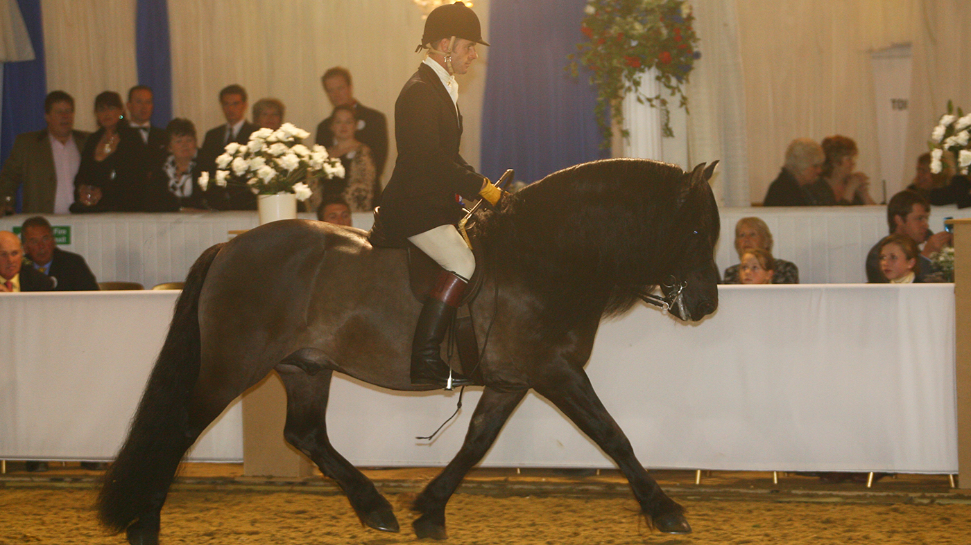 Tower Clyde Tower Clyde and Mathew Lawrence are Heritage supreme champions at the BSPS championships