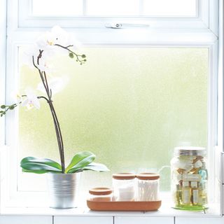 White orchid and bathroom toiletries on the windowsill in a bathroom