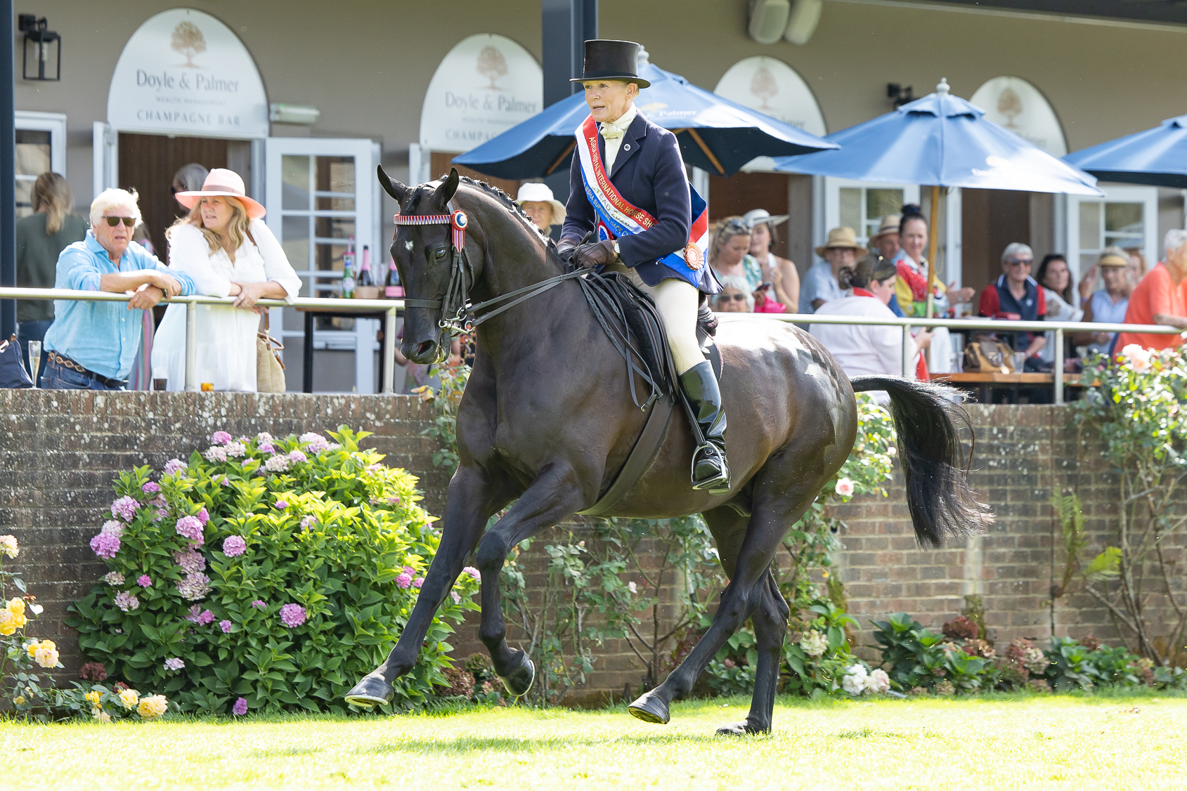 Helen Baker wears a championship sash astride black hack Boston Black Tie who is cantering across the front of the Hickstead International Arena after they are hack champions at the 2026 RIHS