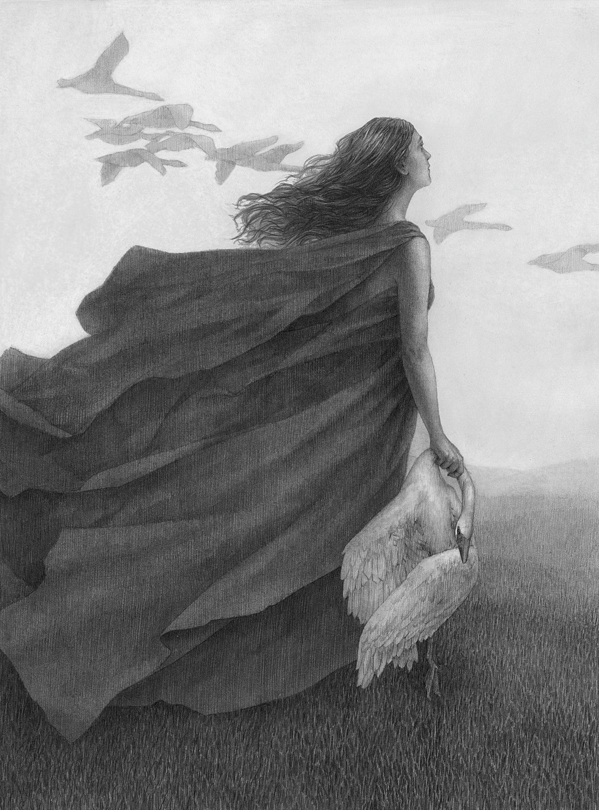 Graphite illustration of a woman holding a dead swan looking up at a flock of birds