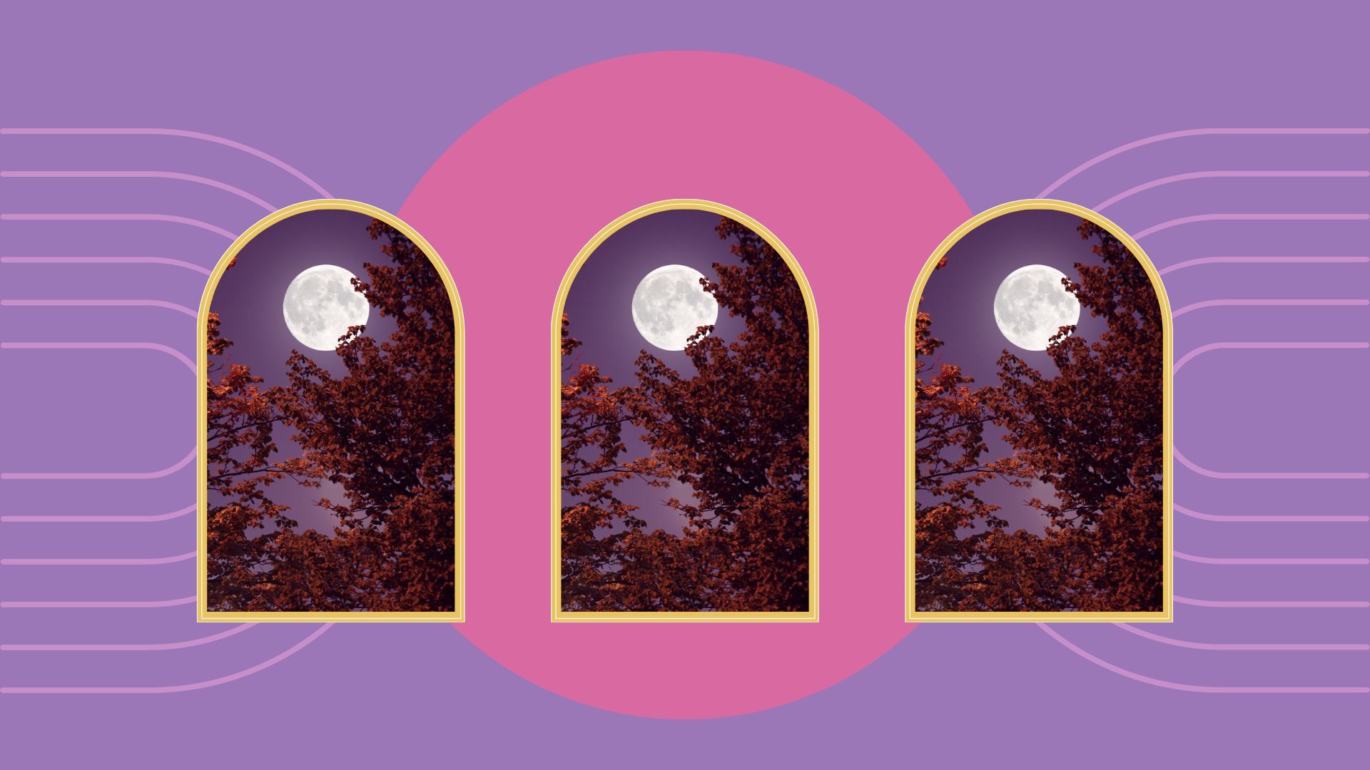 When Is The Next Full Moon Your 2023 Guide Is Here My Imperfect Life