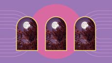when is the next full moon feature image; three full moons near autumn trees on a pink and purple background
