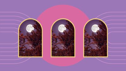 when is the next full moon feature image; three full moons near autumn trees on a pink and purple background