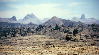 A photo of a lava field showing how uneven the surface is