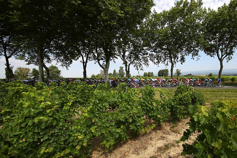The peloton passing farmer's fields during stage 16 at the Tour de France