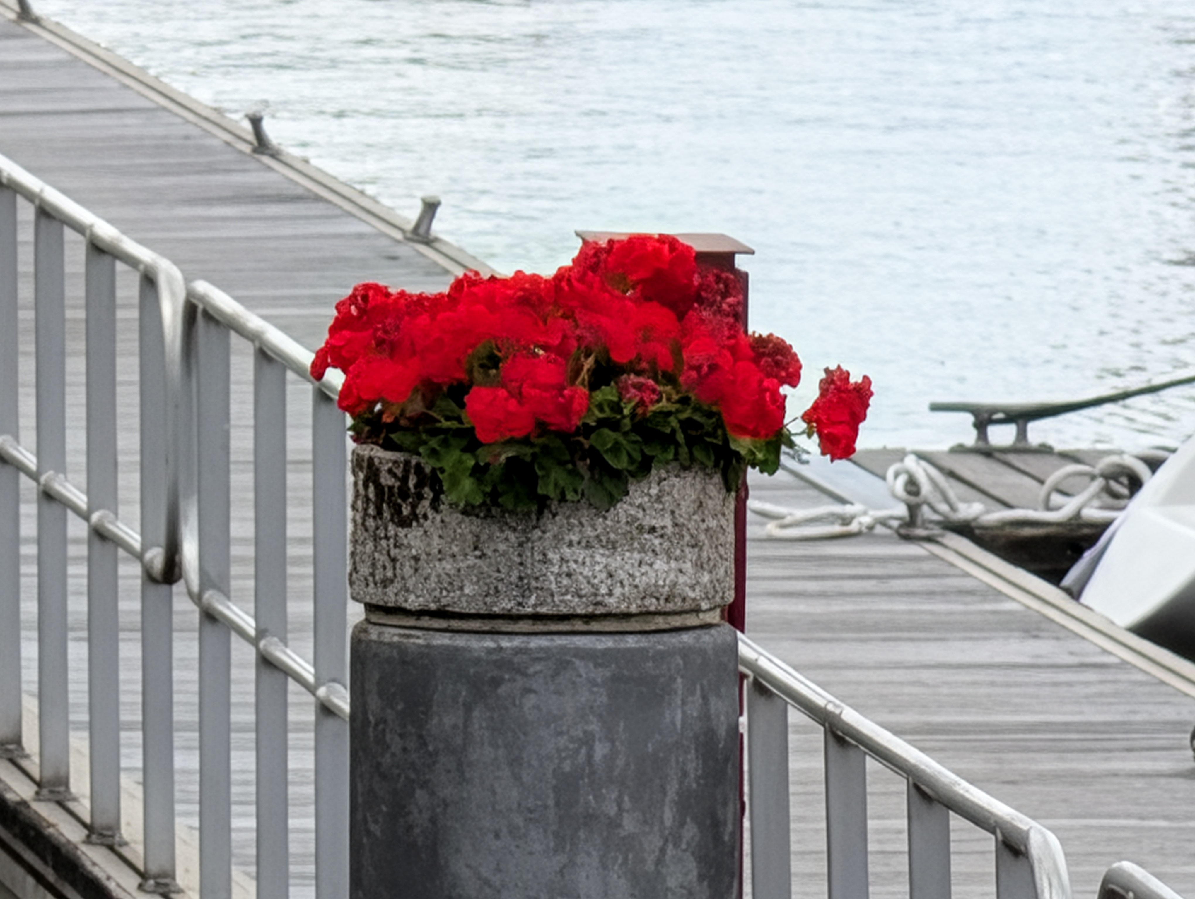 Google Pixel 10 Pro voorbeeldfoto